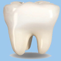 block image: كلية طب الأسنان